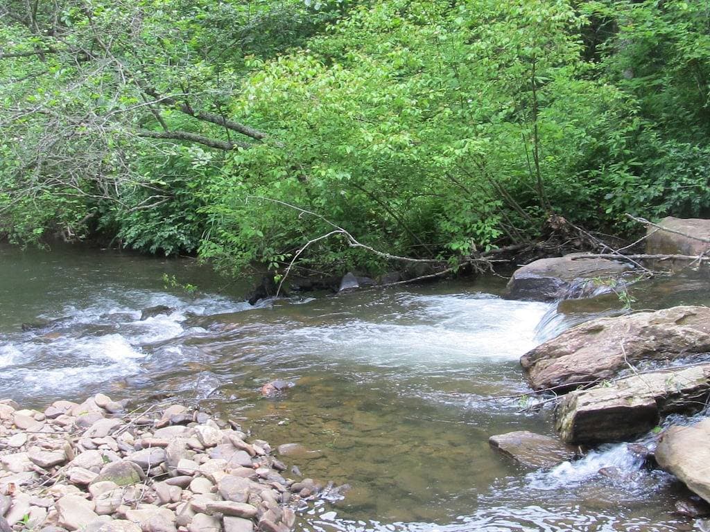 Foto 7 von 29: Hiawassee River Cabin $ 75 pro Nacht - Haustier freundlich