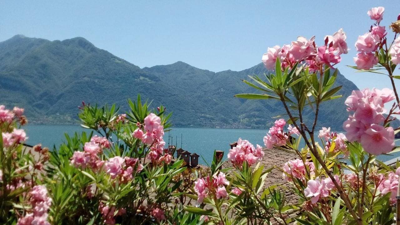 Casa Vacanze da Graziella 1