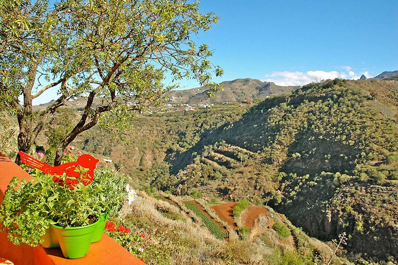 Foto 9 von 20: Casa Tres Almendros