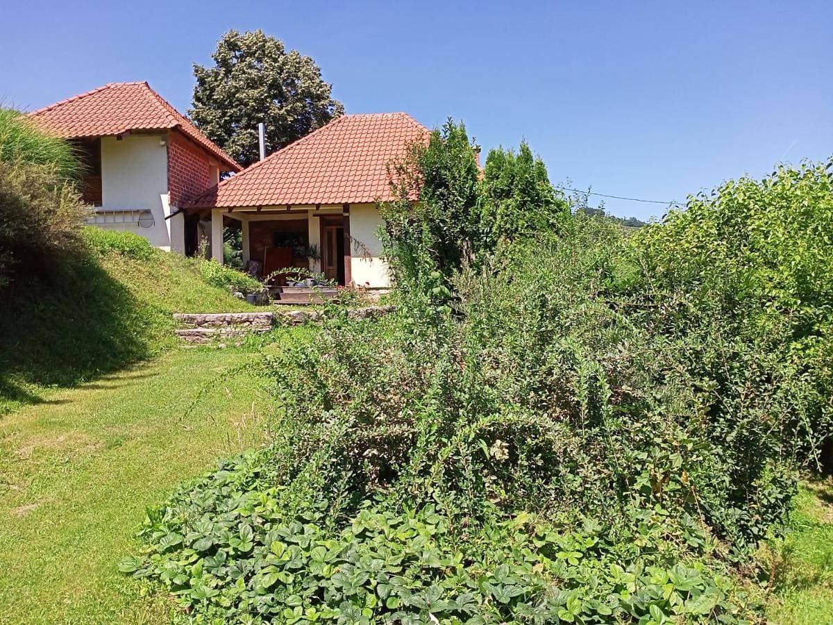 Apartman Marković 1