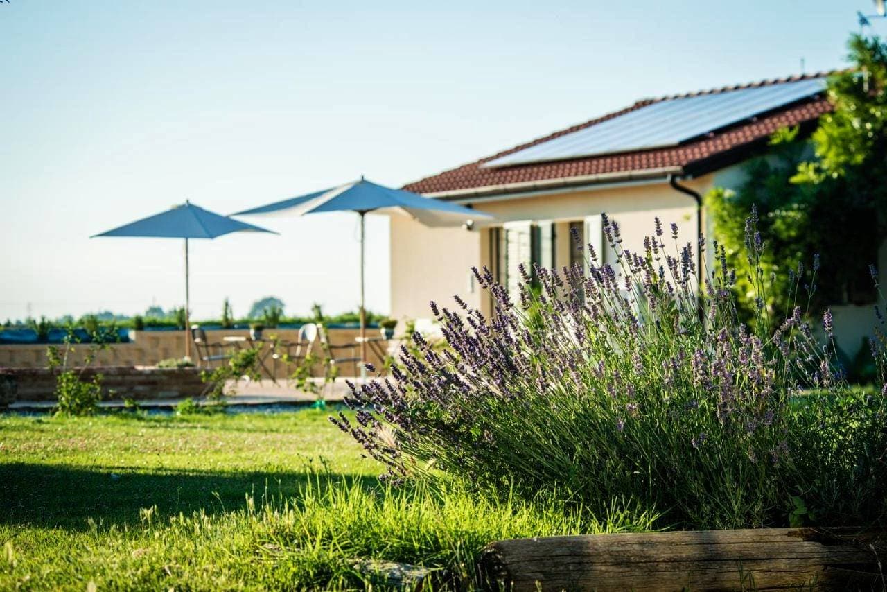 Agriturismo Podere Zampiera Vecchia - vicino Imola e Autodromo 1