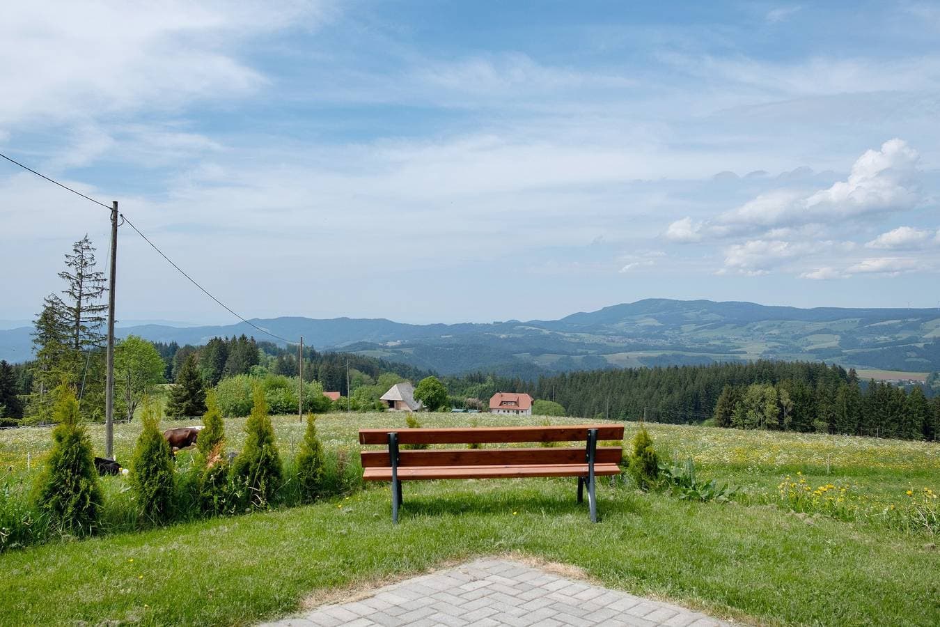 Foto 6 von 36: Ferienwohnung Zwergenschlössle mit Privatem Garten und Wi-Fi