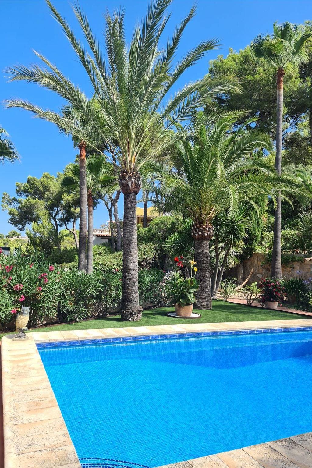 Foto 9 von 19: Casa Paradies