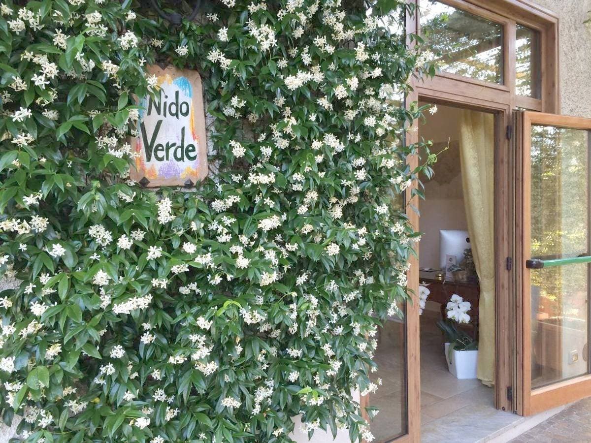 Nido Verde 1
