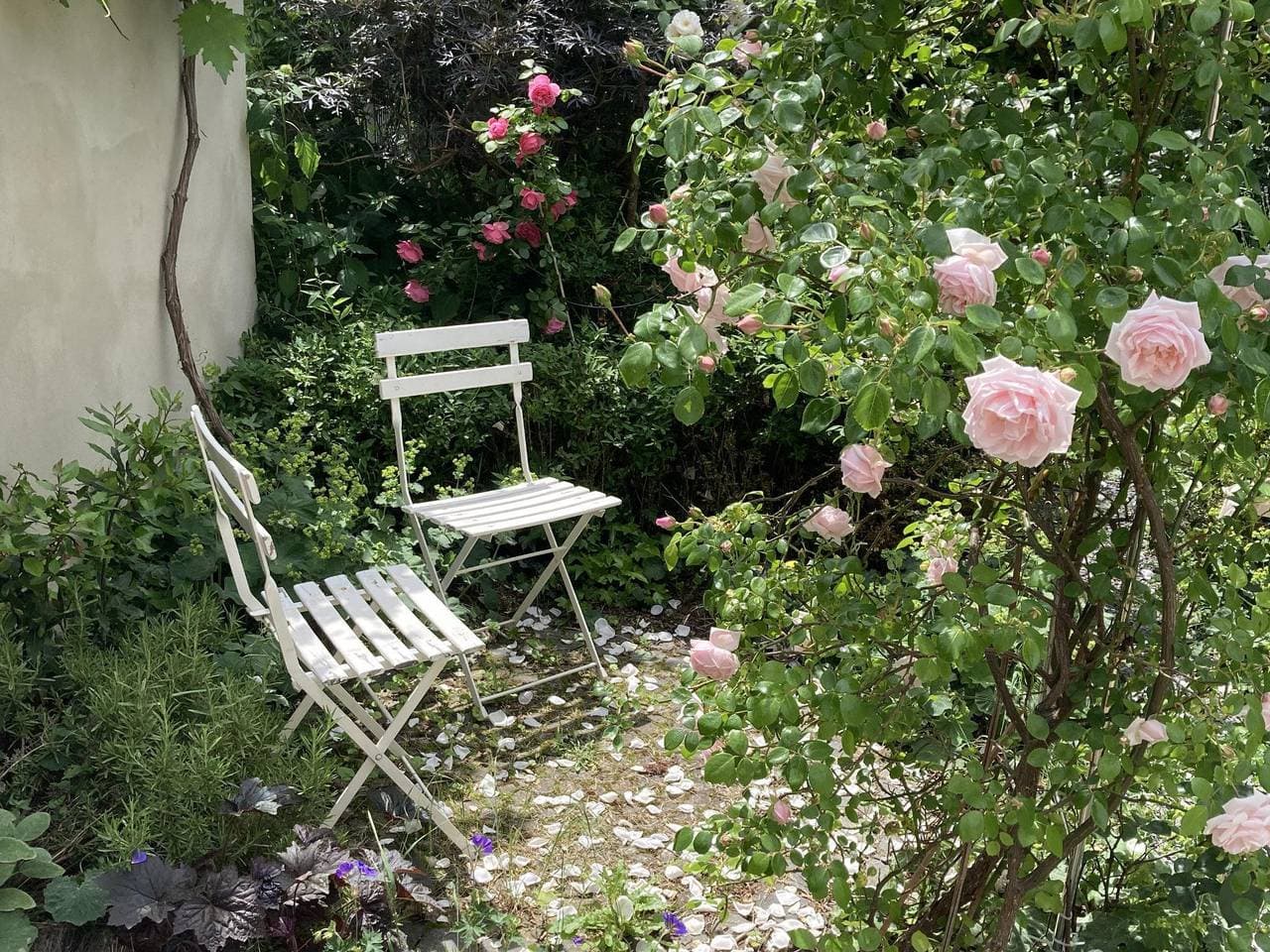 Foto 2 von 22: Doppelzimmer mit Garten
