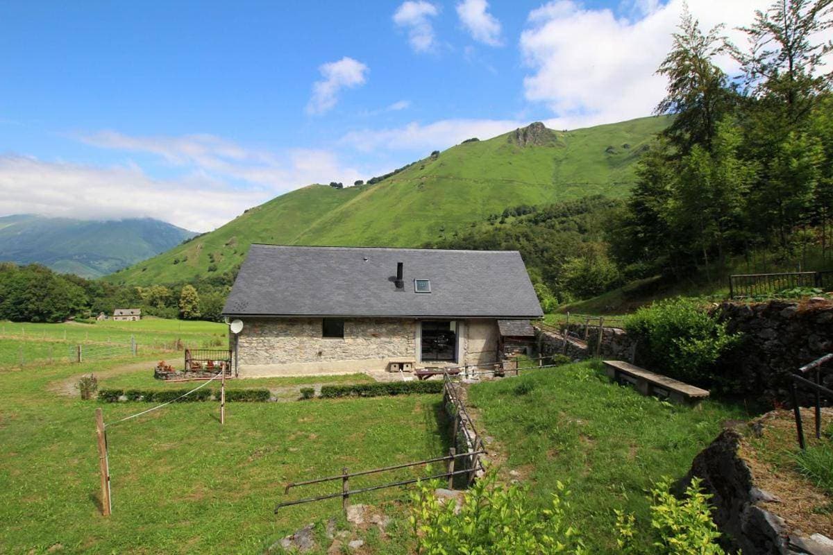 Grand aoulet 1