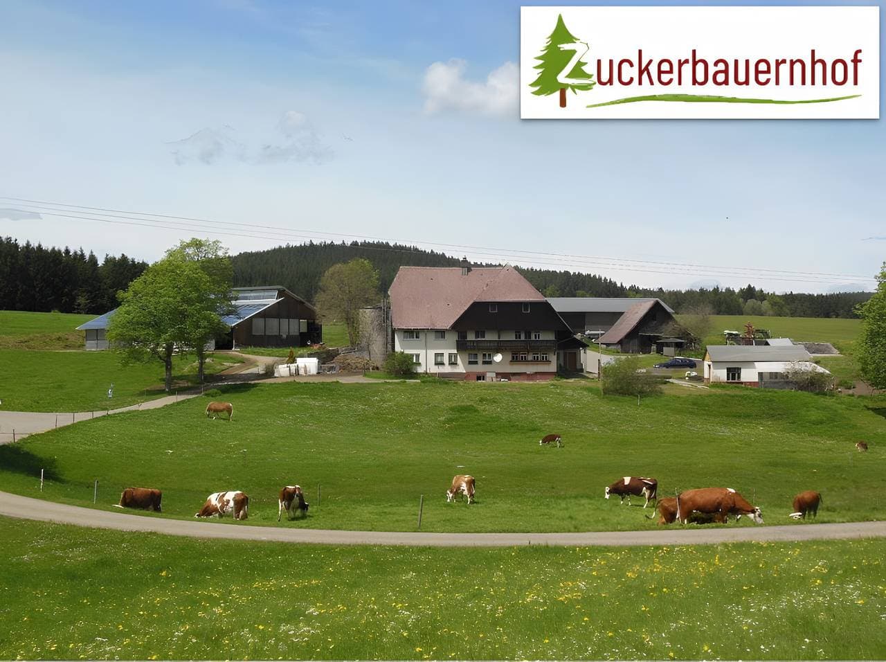 Foto 4 von 33: Ferienwohnung Weideblick Unterkunft mit Hund und Blick in die Natur, Sitzplatz im Garten mit Grill