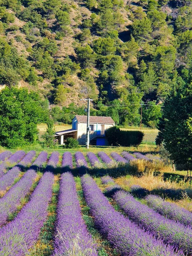 Foto 2 von 15: Le Petit Paradis