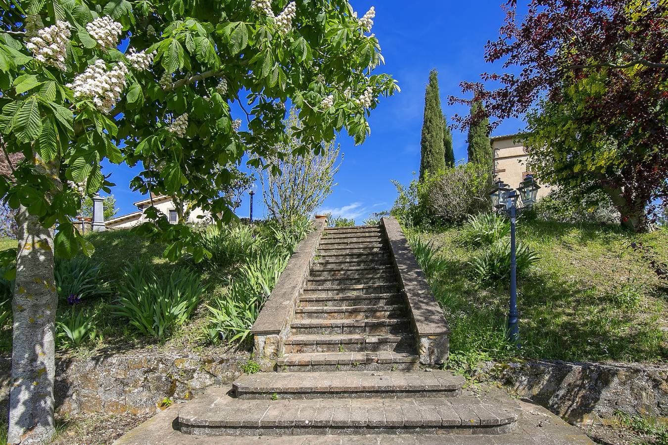 Foto 12 von 43: Villa La Chiesina