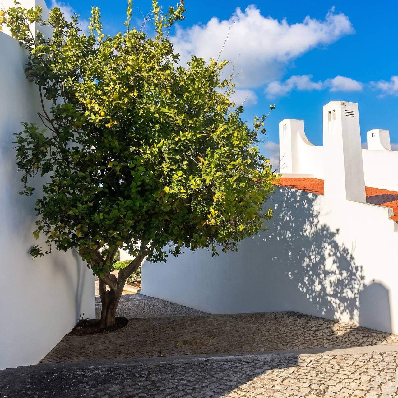 Foto 10 von 148: Helles Familienhaus in Alvor mit beeindruckender Meeresblick