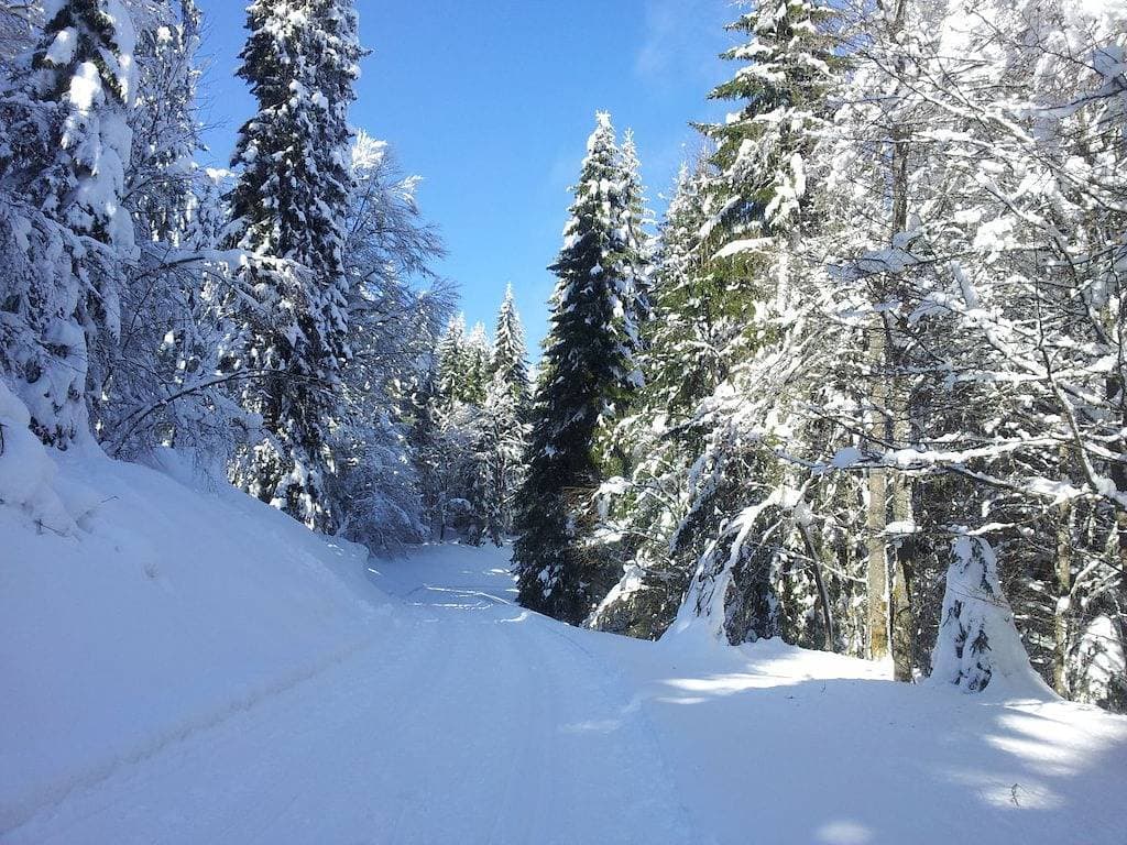 Foto 9 von 23: 1 im Haus Schnell