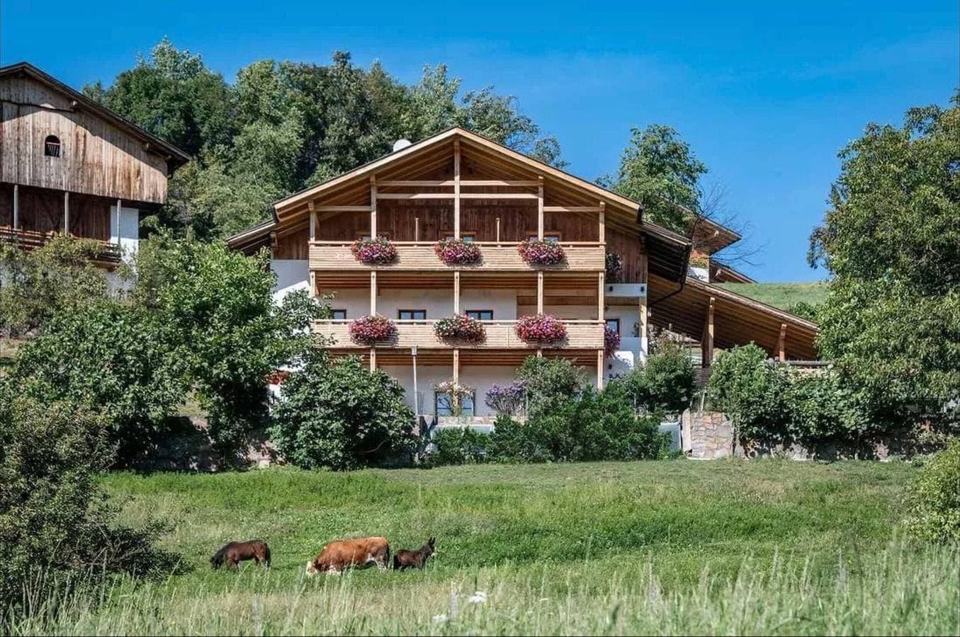 Foto 2 von 15: Apartment „Zimmer Tschafon Wieserhof“ mit Bergblick, privater Terrasse und WLAN