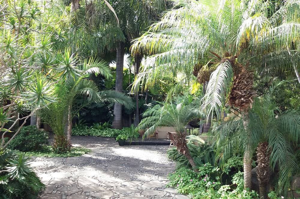 Foto 5 von 30: 10.000 m2 tropischer, ruhiger Garten in der Nähe des Meeres, Glasfaser-WLAN