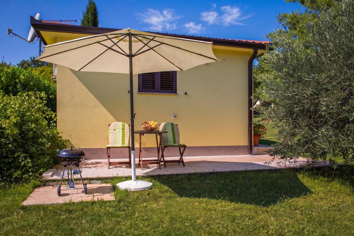 Foto 7 von 31: Marisa Olive Grove - App Aria