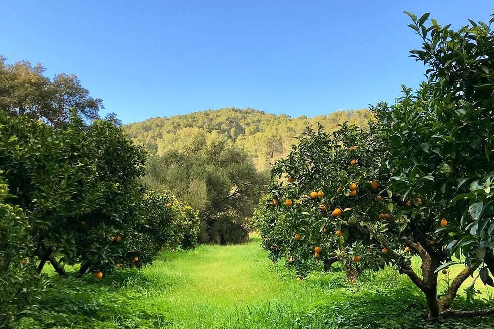 Foto 13 von 30: *Premium Propert * Schöne Finca mit spektakulärer Aussicht und beheiztem Pool