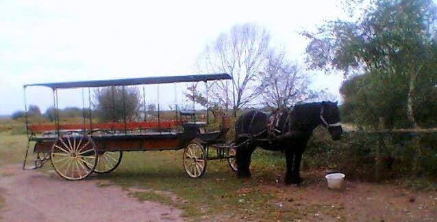 Foto 6 von 35: Holiday Home
