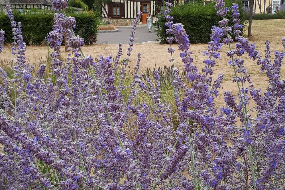 Foto 12 von 24: House in an exceptional setting