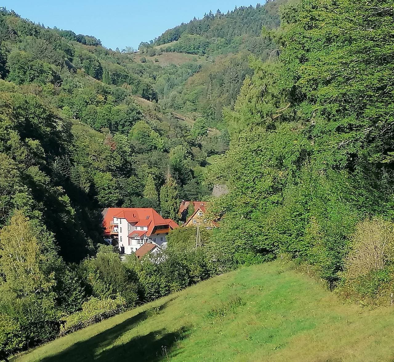 Foto 4 von 17: Ferienwohnung Löwenzahn mit Bergblick, Gemeinschaftsterrasse und WLAN
