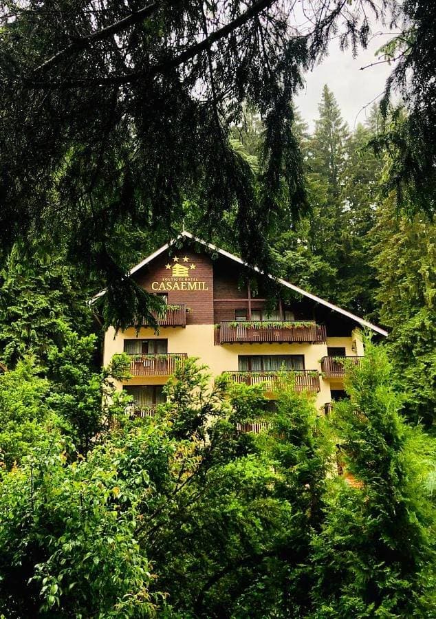 Foto 4 von 5: Duplex Suite