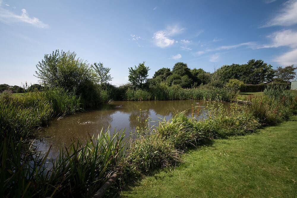 Foto 10 von 17: Geschmackvoll renoviertes Landhäuschen mit Schwimmbad in der Nähe von Tenterden