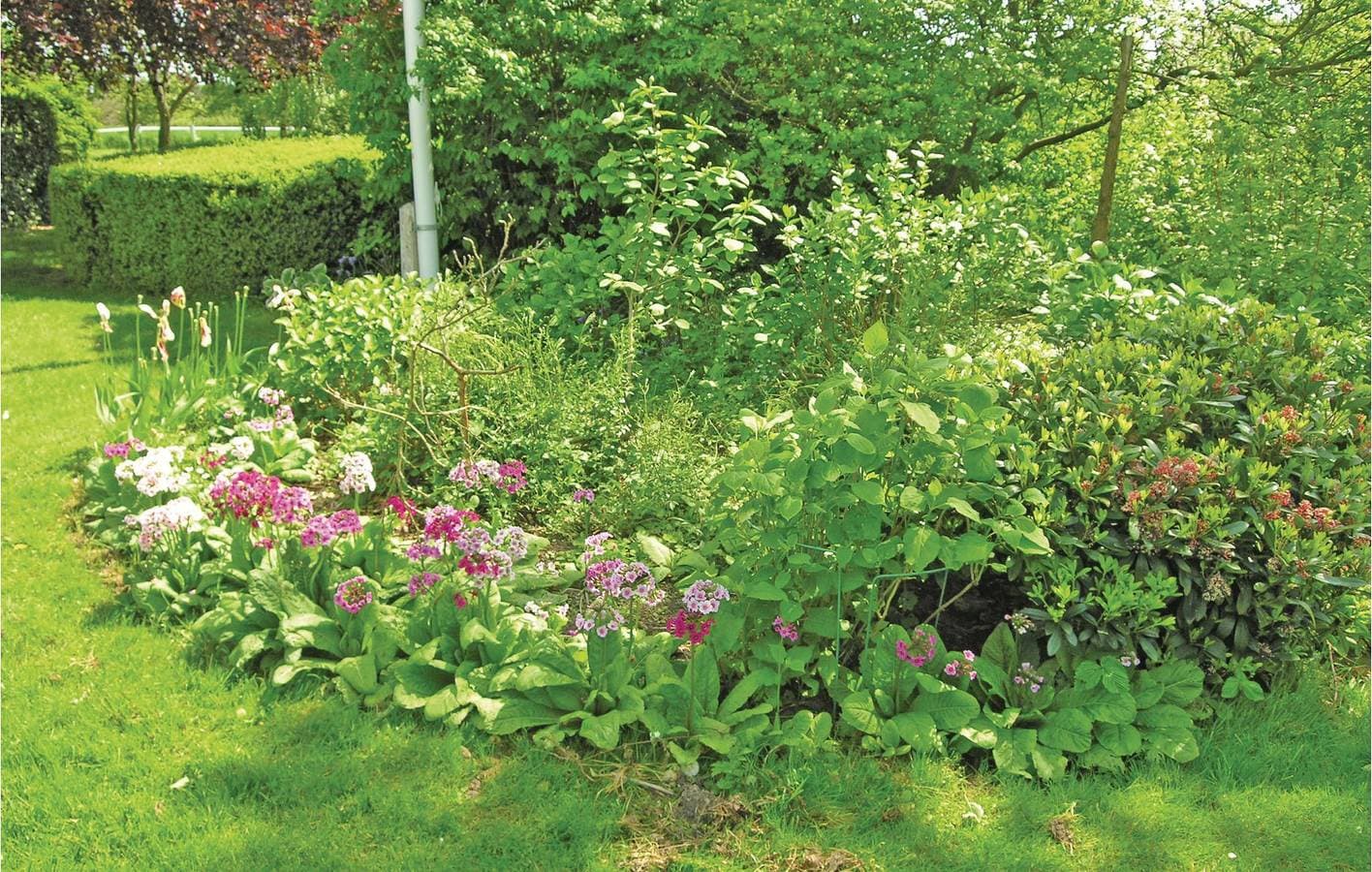 Foto 8 von 20: Ferienwohnung für 4 Personen mit Garten