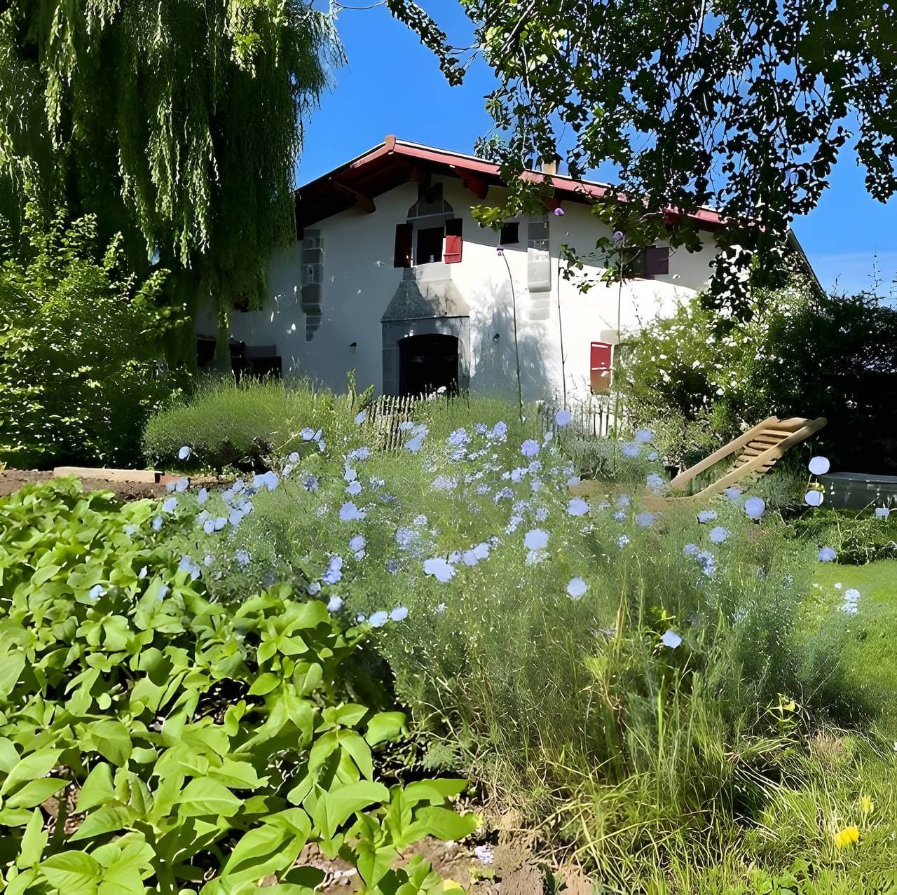 Foto 7 von 34: Bed and Breakfast 'Barukia' mit privatem Garten und WLAN