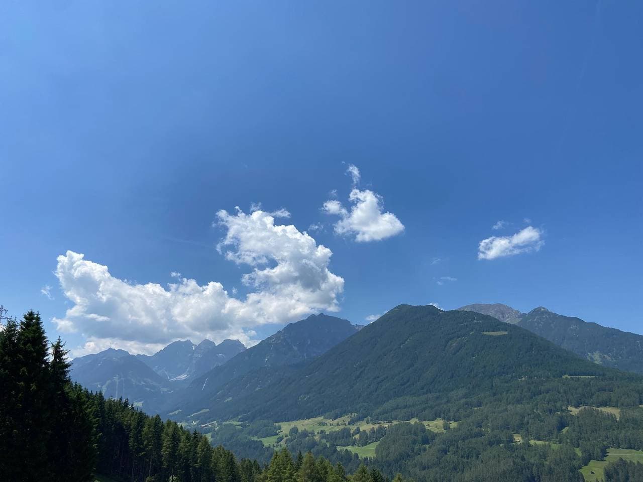 Foto 10 von 22: Green Forest Suite