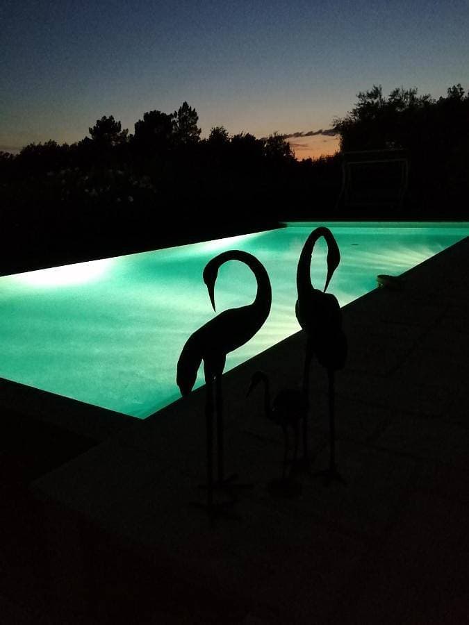 Magnifique logement indépendant dans villa avec piscine 1