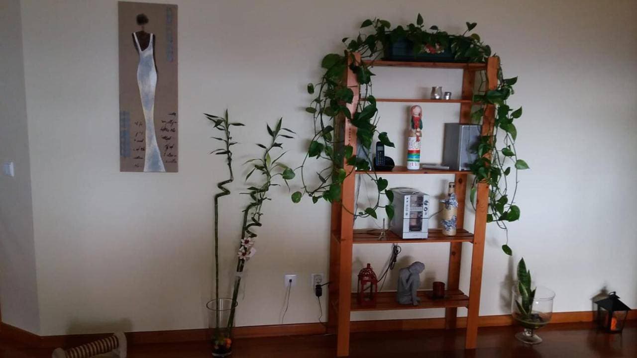 Foto 5 von 5: Apartment