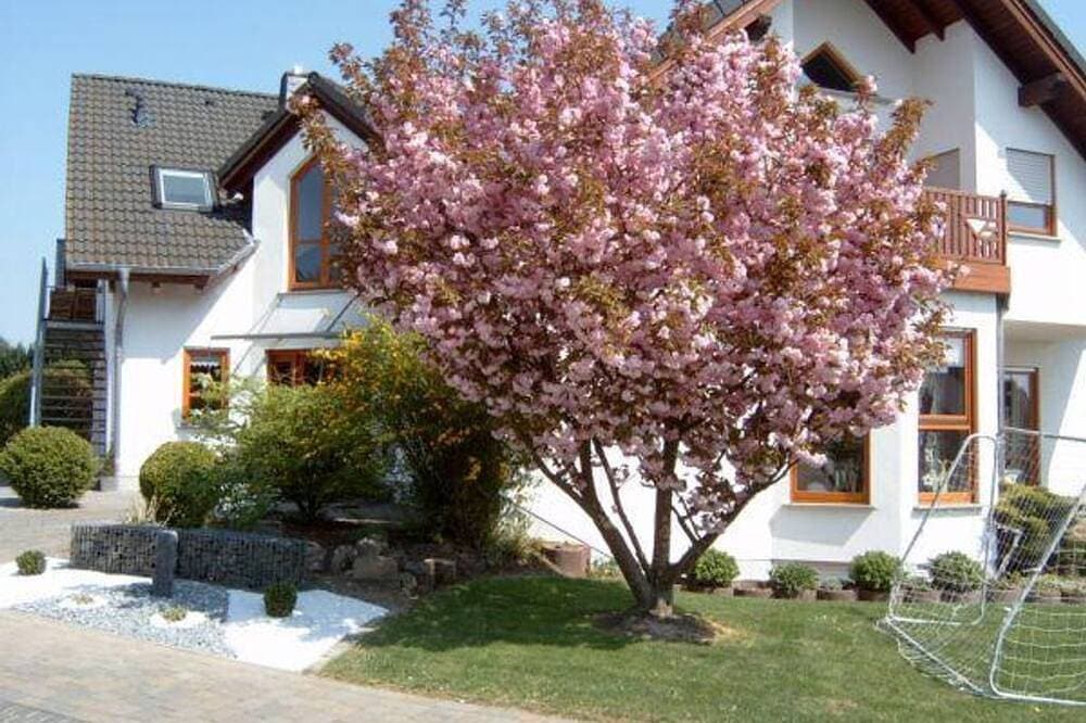 Ferienwohnung mit Herz - Appartement/Fewo, Dusche, Wc, neuwertig 1