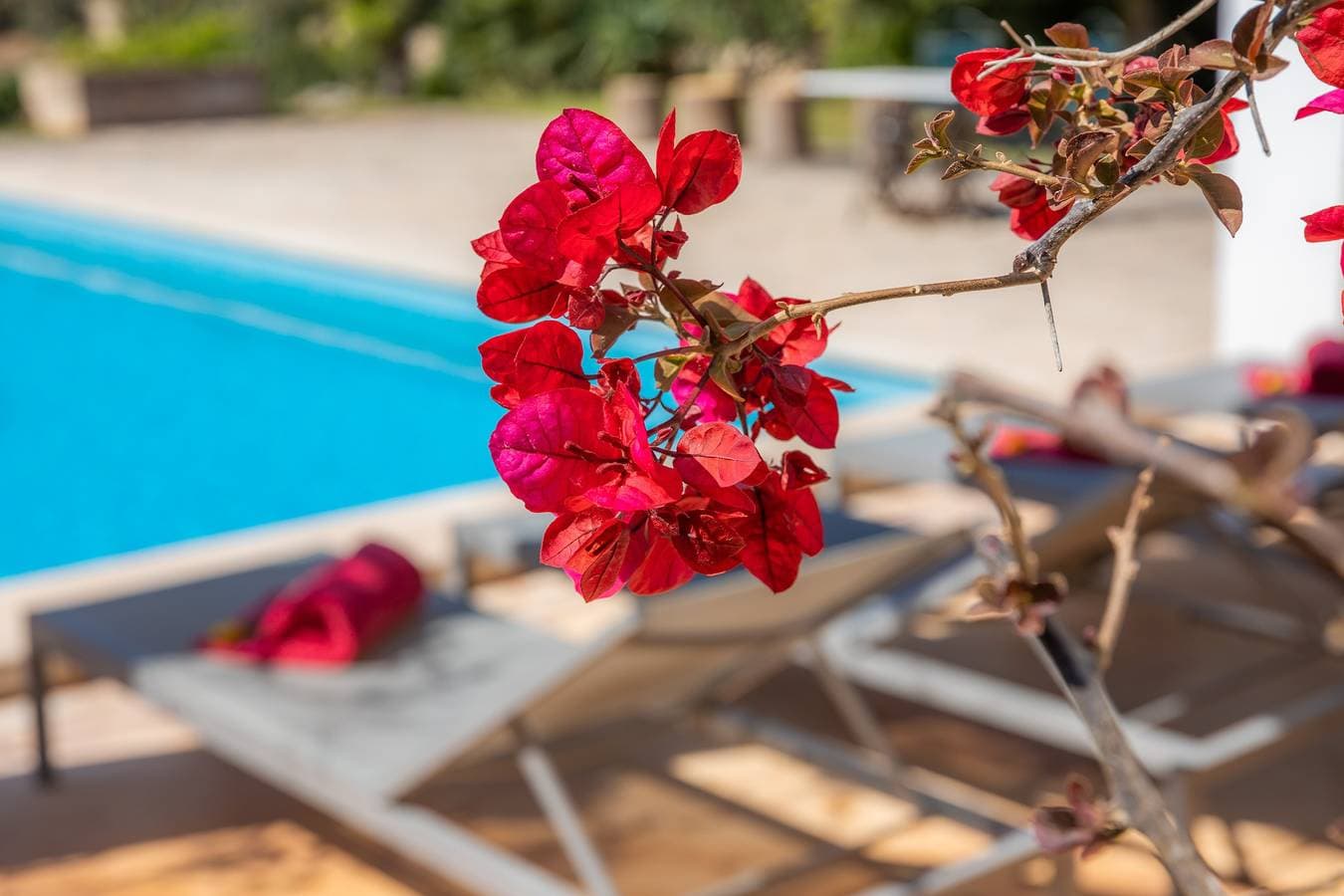 Foto 5 von 34: Traumhafte Finca mit WLAN, Pool, Garten, und Terrasse; Parkplätze vorhanden