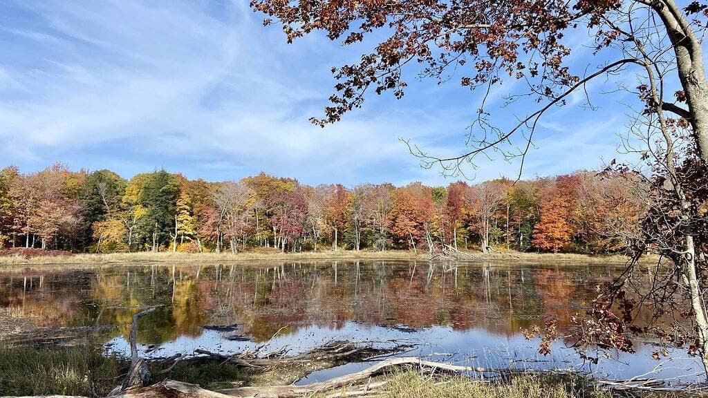 Foto 9 von 18: 🍀 The Lucky Charm on Beaver Island's Lake Geneserath!