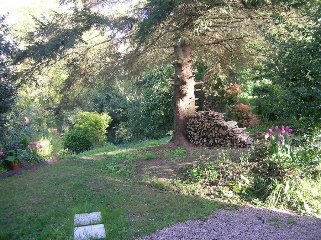 Foto 8 von 37: Le Chalet de vasterival