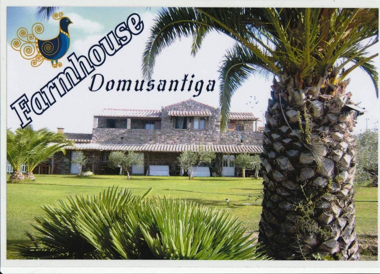 Domus Antiga Appartamenti 1