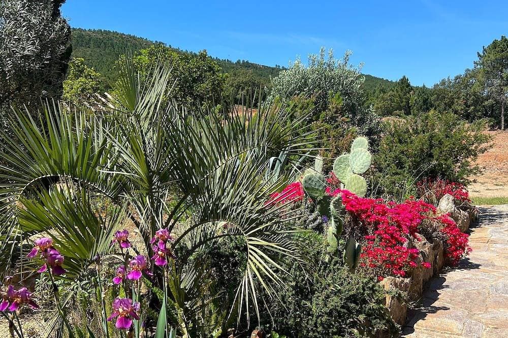 Foto 11 von 30: House exceptional site on 10 Ha panoramic sea view of the Gulf of St-Tropez