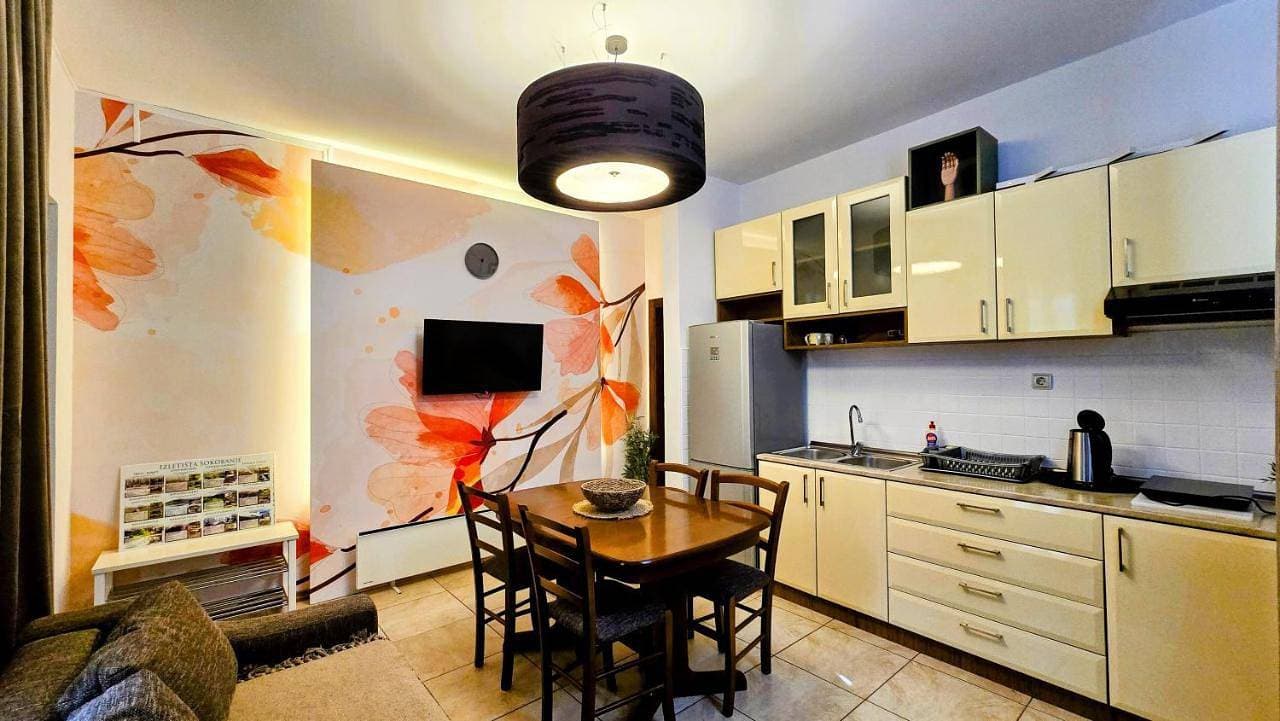 ŽUPAN apartmani 1
