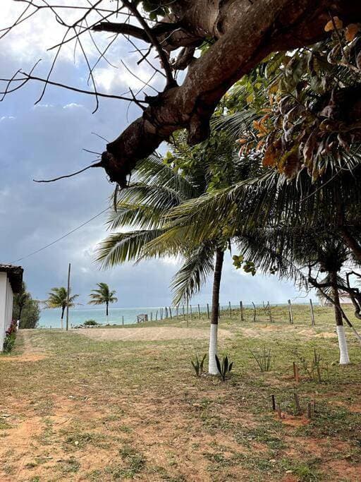 Foto 6 von 86: Casa de frente para o mar, pé na areia!