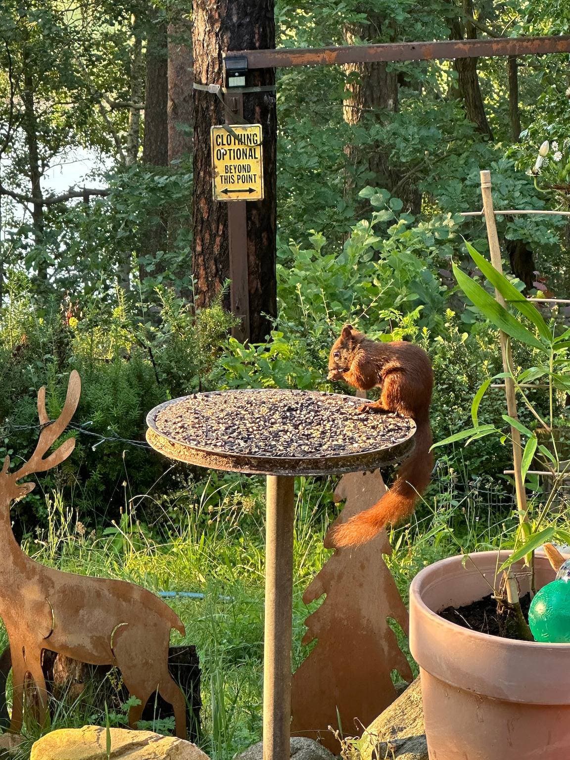 Foto 9 von 33: Ferienhaus Waldzauber 2 mit Seeblick, privater Terrasse und privatem Garten