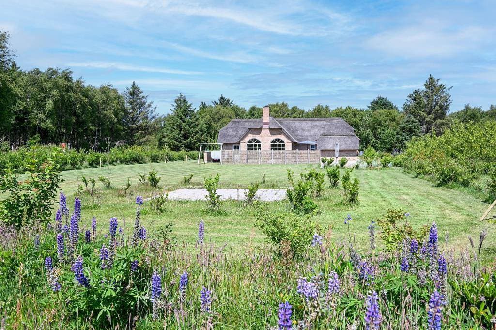 Ferienhaus mit Billard, Sauna, Jacuzzi - hier sind 3 Hunde erlaubt! 1