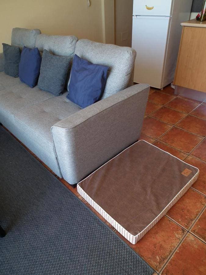 Foto 4 von 34: Apartment