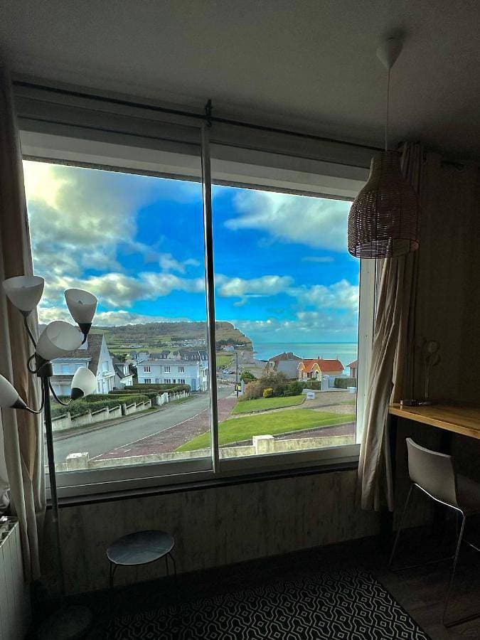 La Perle Marine superbe vue mer terrasse 30m2 1