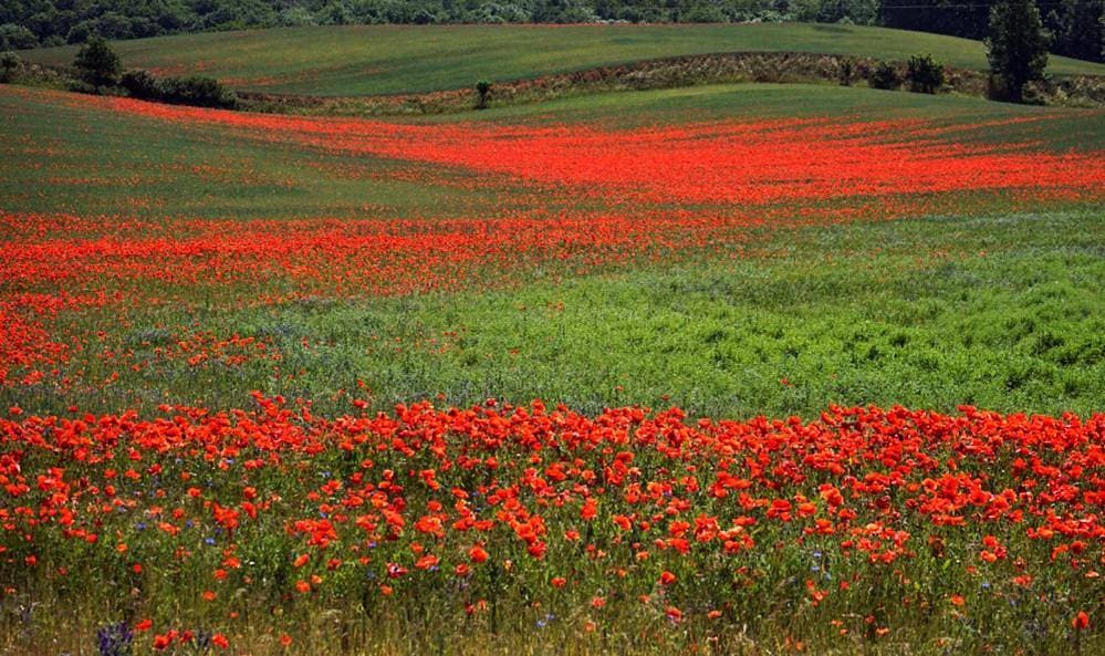 Foto 11 von 29: Two-Bedroom Apartment