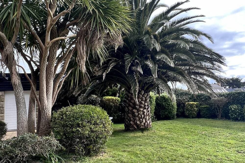 Foto 9 von 30: Granit- Herren-Haus, gleich am feinen Sand-Strand Palmen im eingezäunten Garten.