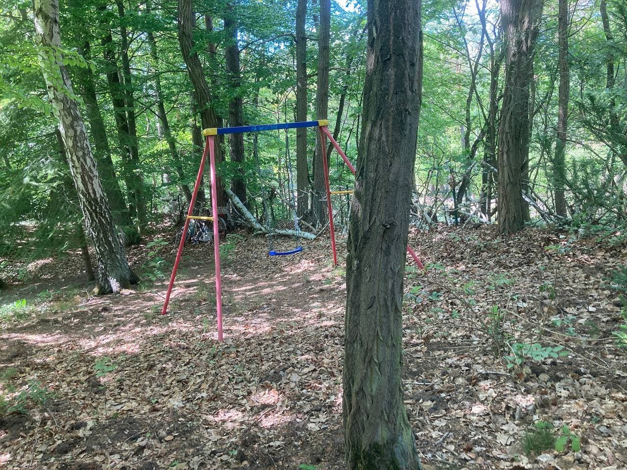 Foto 12 von 33: Gemütlicher Rückzugsort im Wald - direkt am Silbersee bei Coswig (Anhalt)
