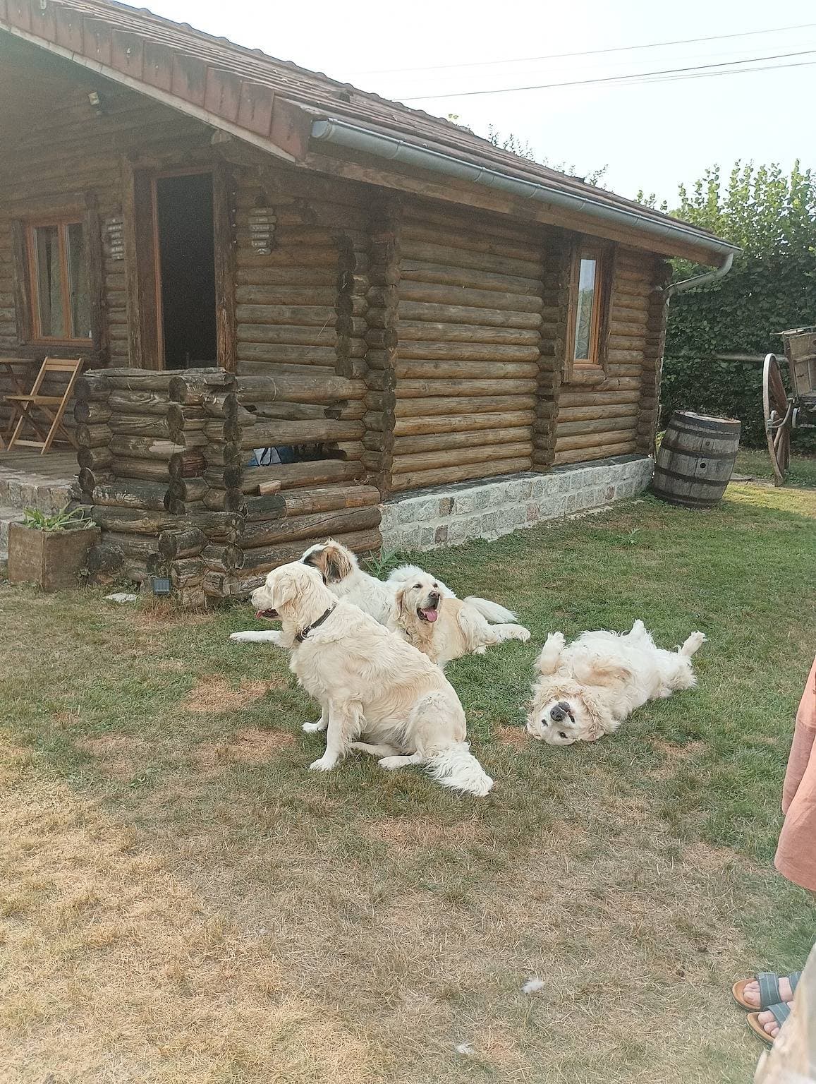 Foto 11 von 20: Ideales Chalet für Wanderfreunde