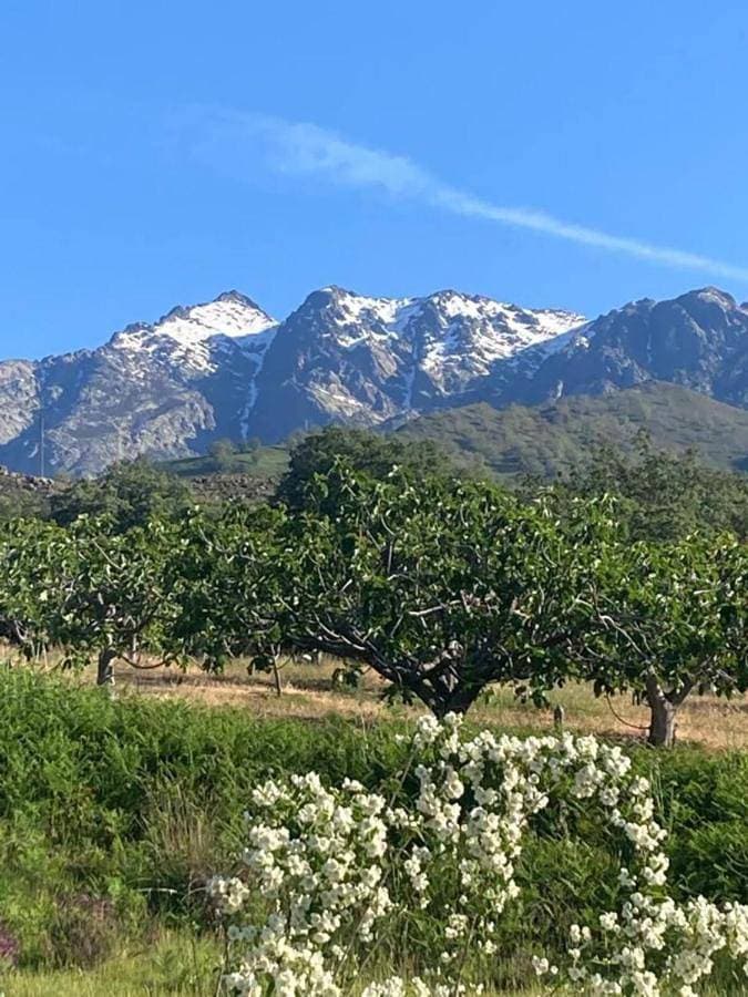 MIRADA A GREDOS 1