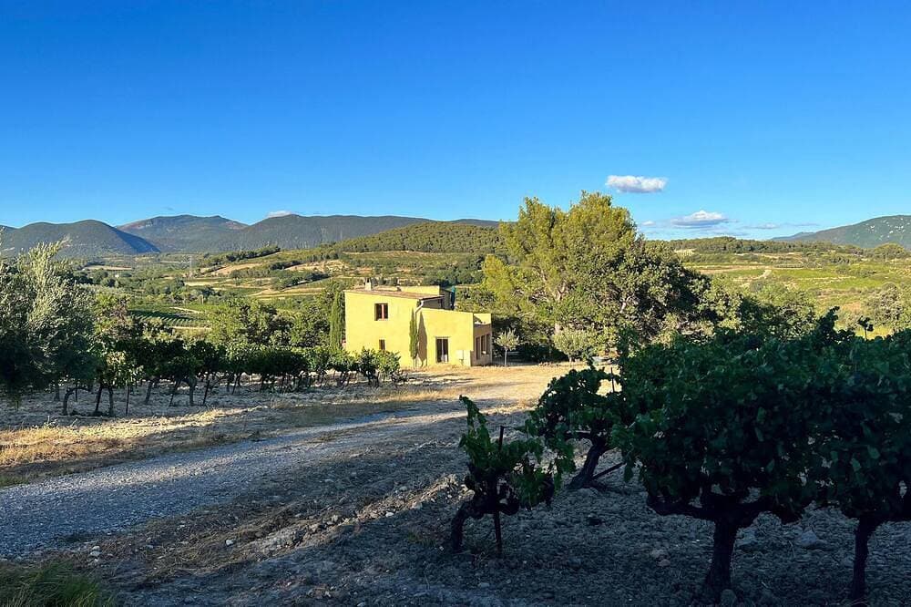 Le Cabanon des Vignes, an exceptional site amidst the vines 1