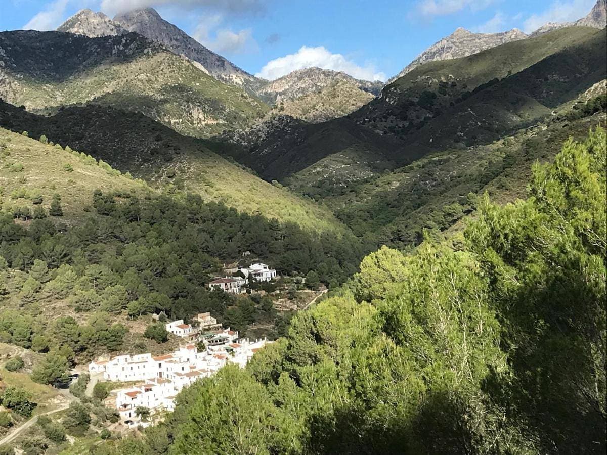 B&B the lost Village el Acebuchal 1