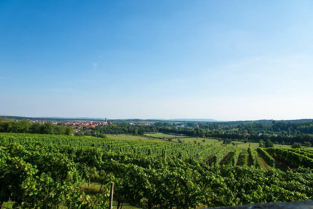 Foto 3 von 8: Weingut - Ferienwohnung Rudloff - Nordheimer Vögelein