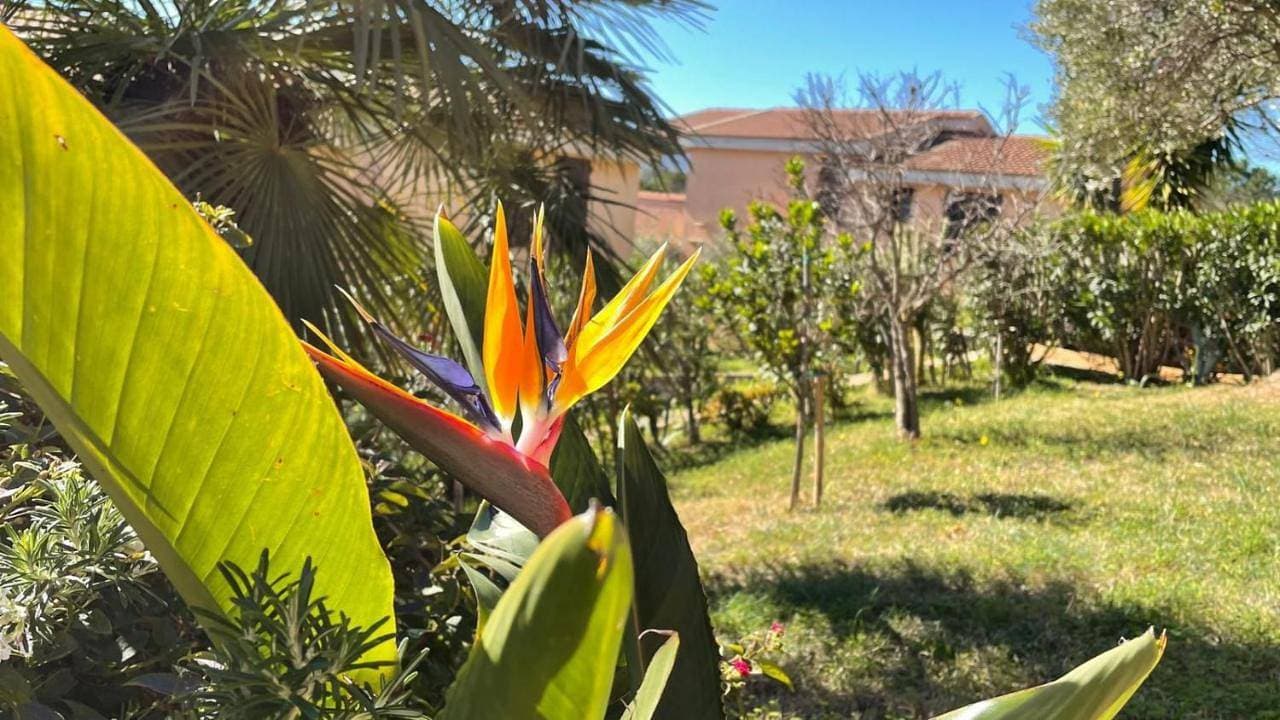 Foto 7 von 22: Holiday Home